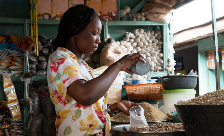 Impact Fund Denmark Lends $15 Million to Boost African SME Financing